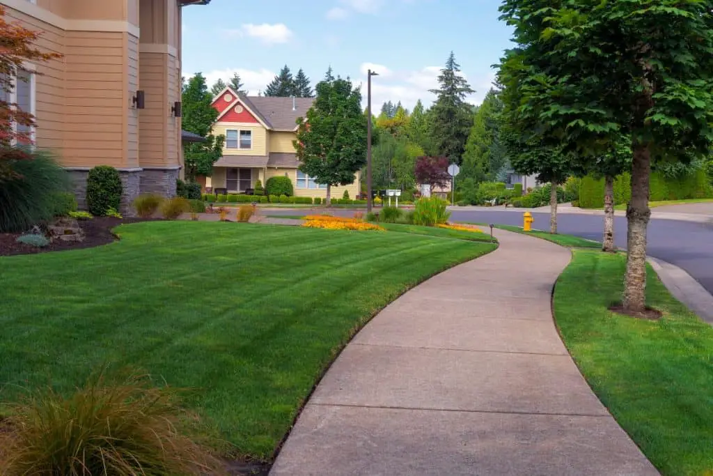 Normal concrete sidewalk with lines