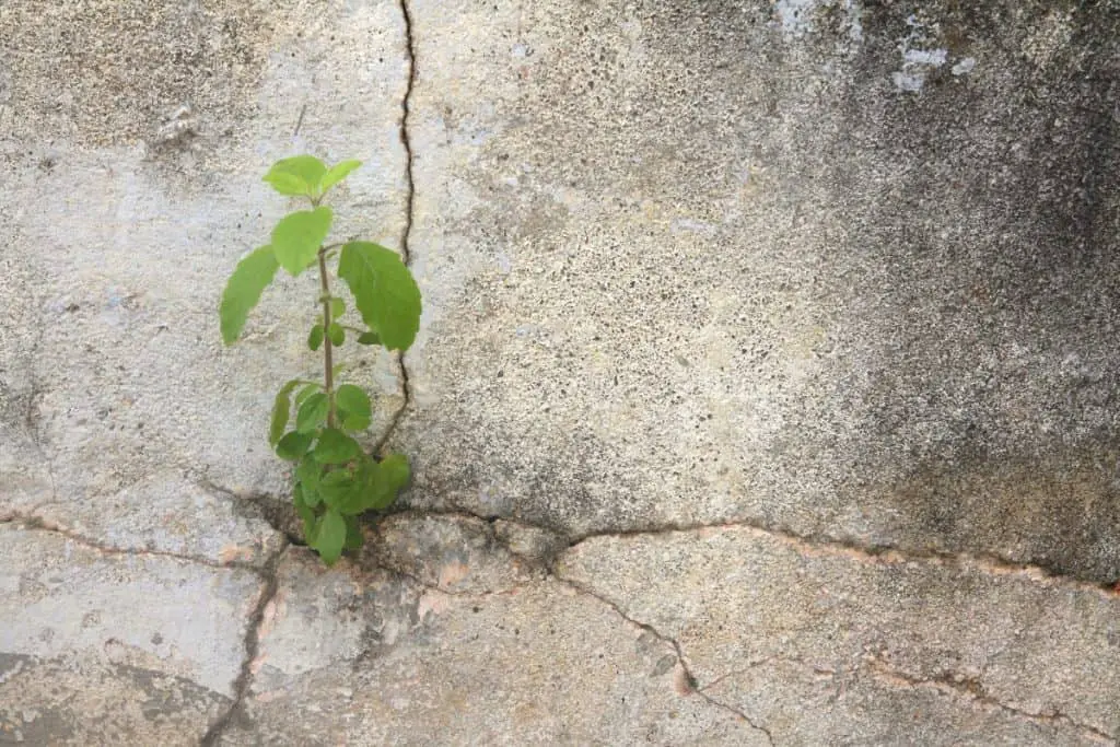 Cracks in concrete