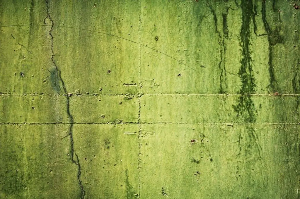 Concrete wall stained green