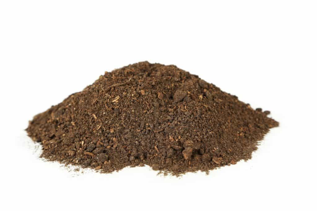 A mound of dirt