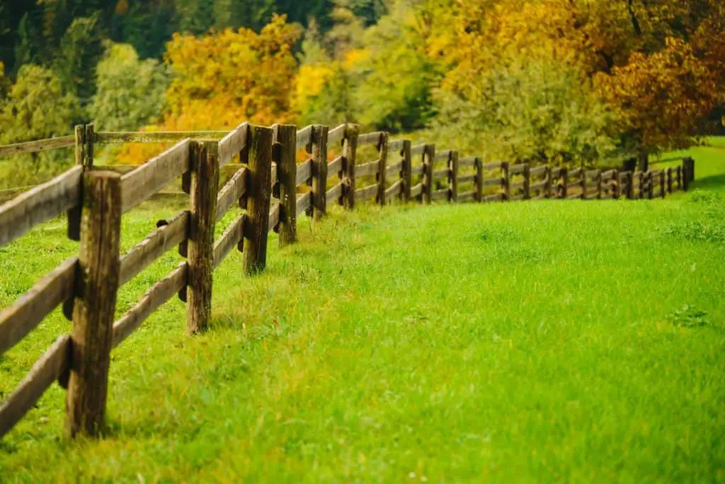 Wooden fence posts set in concrete