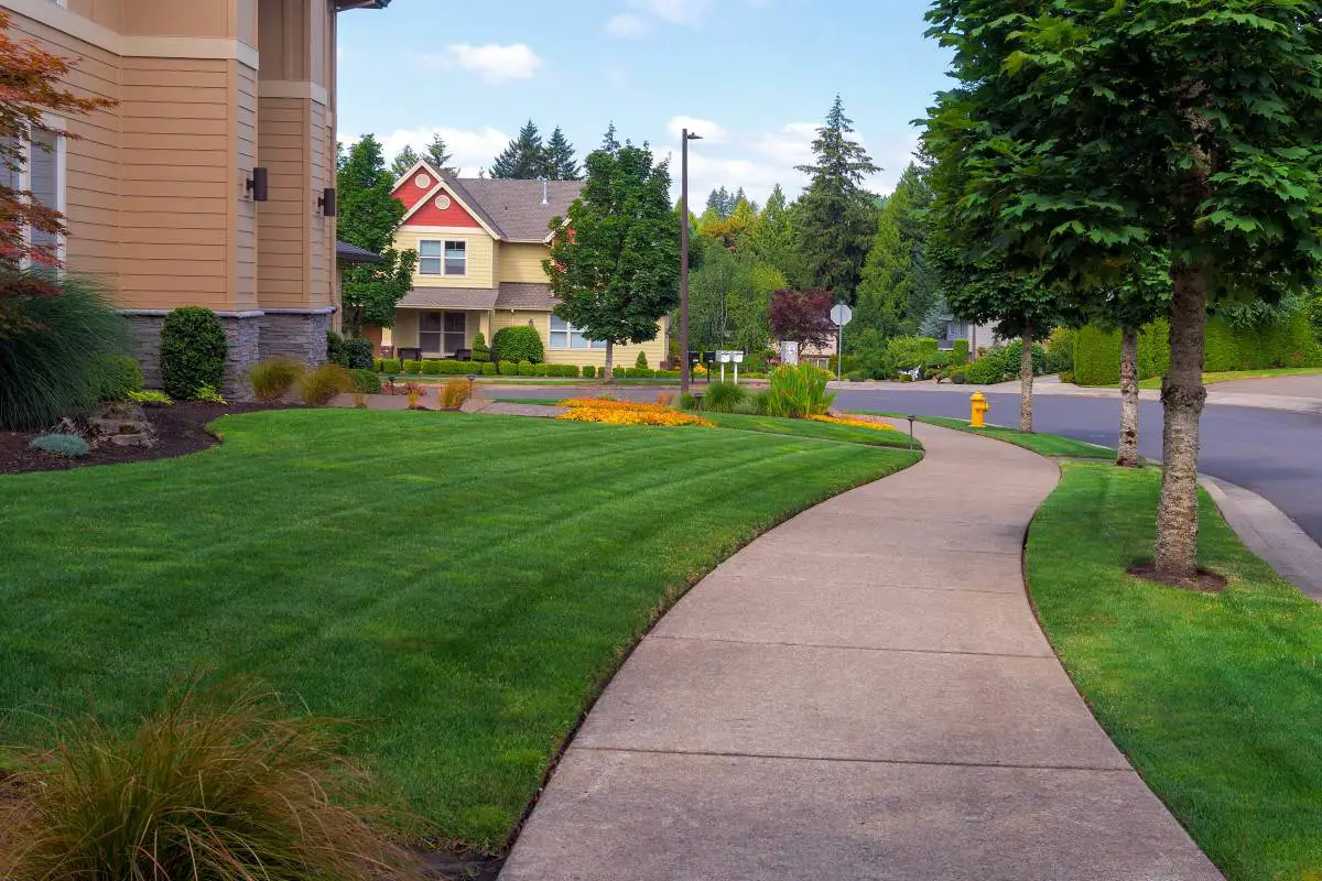 Why Do Sidewalks Have Lines? | Concrete Questions