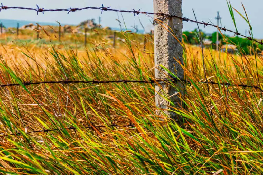 Fence post made of concrete