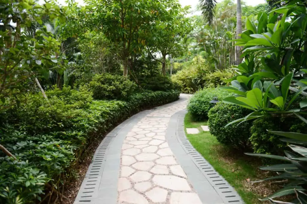 Concrete sidewalk in garden