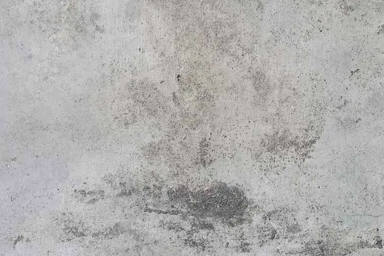 Rough unpolished concrete that is porous