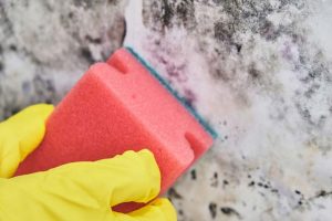 11 Best Ways To Clean Concrete Basement Walls