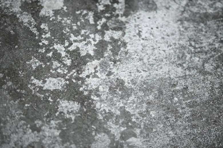 Concrete that has turned white because of efflorescence.